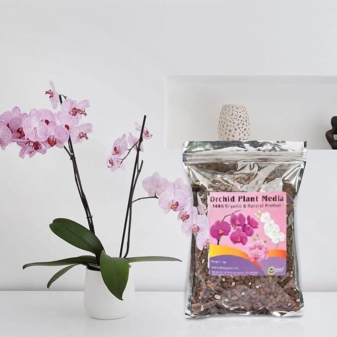 Orchid Potting Mixture - Orchid Plants Ready to Use 350gm